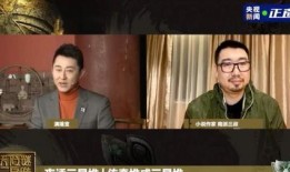 央视原神爆料了吗视频,央视视频揭秘游戏新内容与玩法